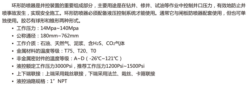 環形防噴器-1.jpg